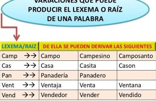 Qué es un LEXEMA: definición y ejemplos