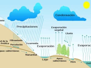 Humedad - Wikipedia, la enciclopedia libre