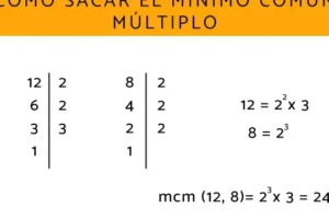 Mínimo común múltiplo: qué es y cómo sacarlo - ¡Descubre cómo ...