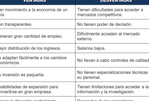 Qué es una Microempresa? Definición y especificaciones | Billin