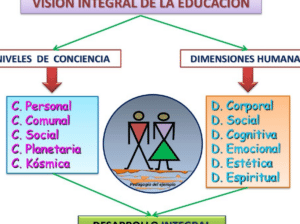 Modelo educativo y desafíos en la formación docente