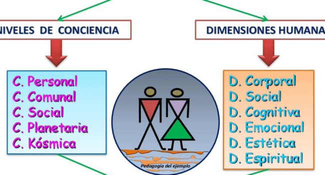 Modelo educativo y desafíos en la formación docente