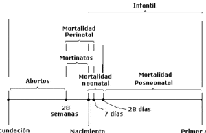 Sesión 6