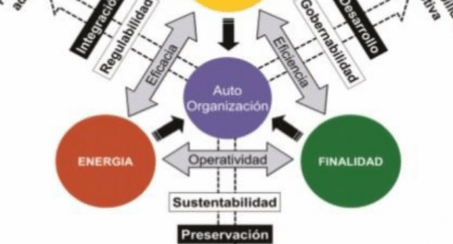 Morfogénesis y pensamiento complejo