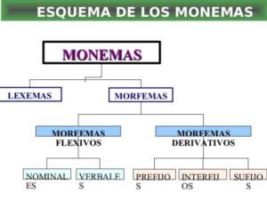 Qué es un MONEMA y ejemplos