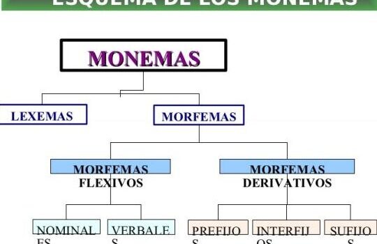 Qué es un MONEMA y ejemplos