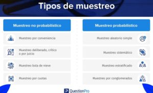 Tipos de muestreo: Cuáles son y en qué consisten